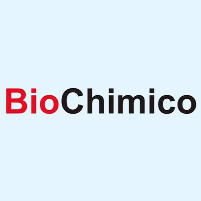 Logo 04